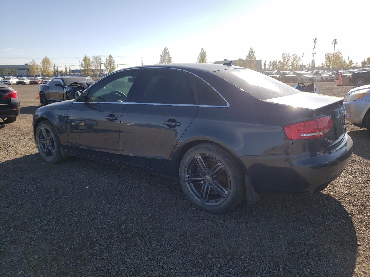 WAUFFCFL1BN005271 2011 Audi A4 Premium Plus