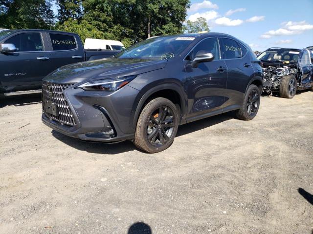 2024 Lexus NX 