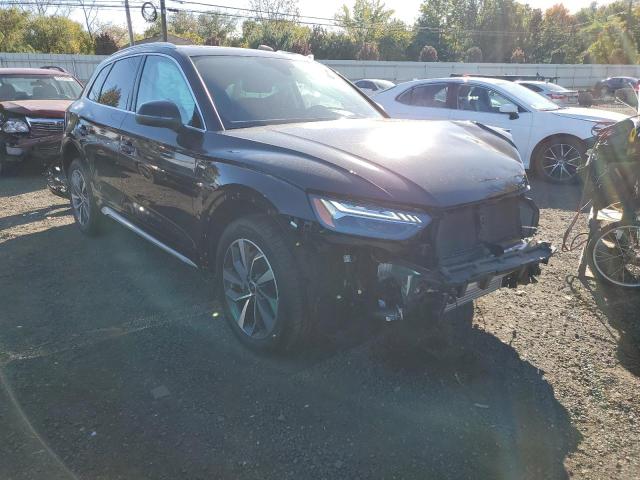 WA1FAAFY9P2164494 Audi Q5 PRESTIG 4