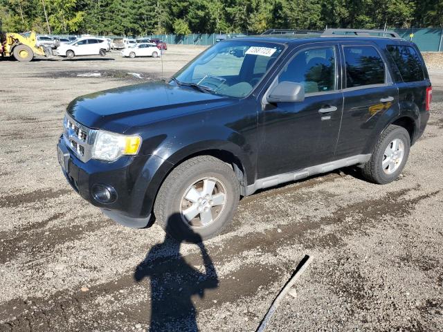 2009 Ford Escape XLT