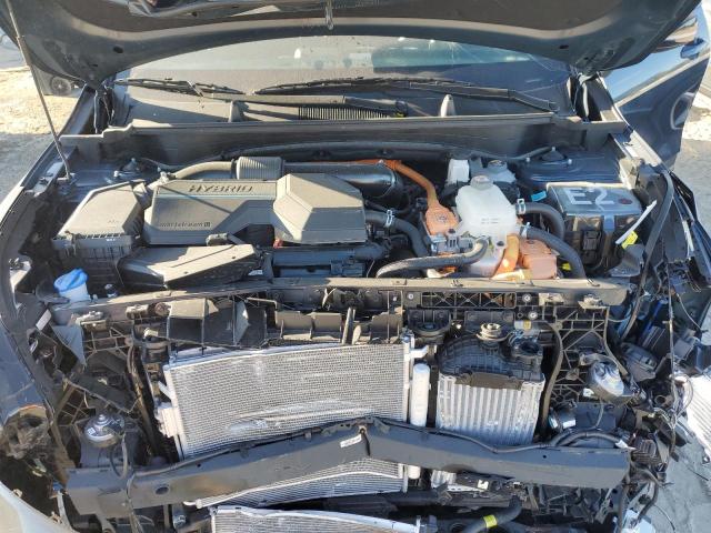 KNDPYDAH9P7076160 KIA Sportage X Line