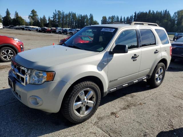 2008 Ford Escape XLT