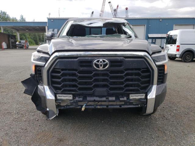 2022 Toyota Tundra Double Cab Sr VIN: 5TFLA5DA8NX004158 Lot: 70894333