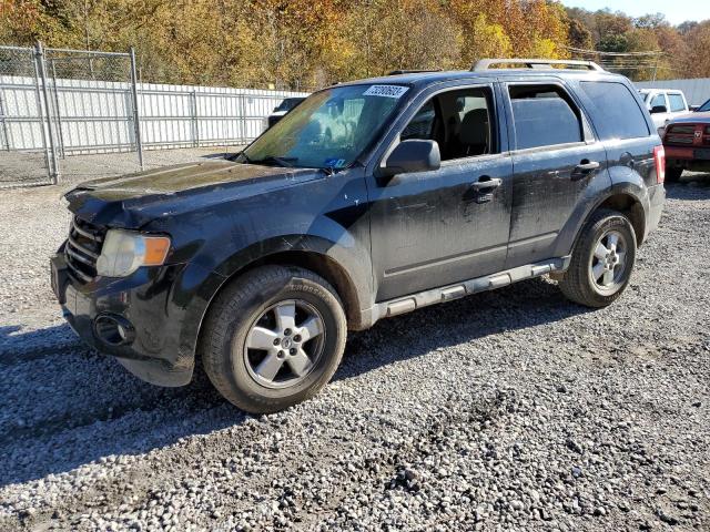 2009 Ford Escape XLT