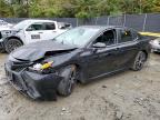 2019 TOYOTA CAMRY L - 4T1B11HK2KU756891