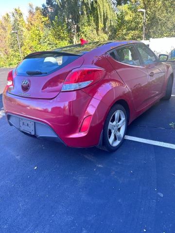 KMHTC6AD2DU142353 | 2013 Hyundai veloster