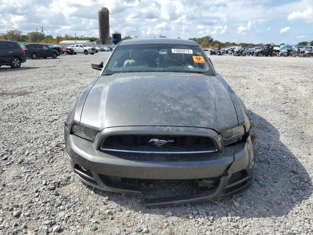 1ZVBP8AM9D5204239 | 2013 Ford mustang