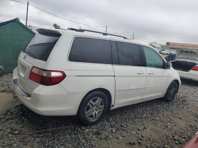 2007 Honda Odyssey Exl VIN: 5FNRL38717B430343 Lot: 70570773