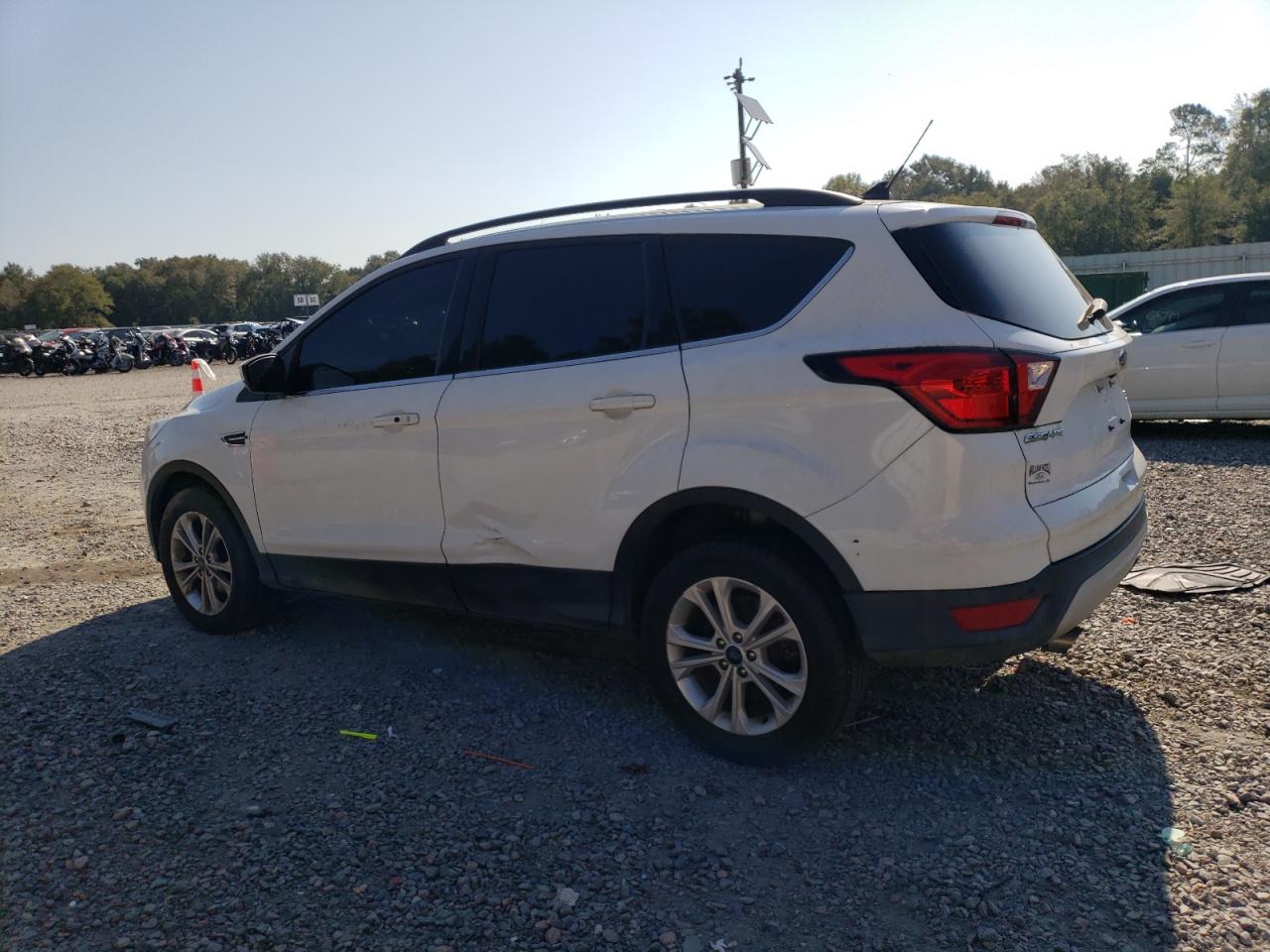 Lot #2635836343 2019 FORD ESCAPE SEL