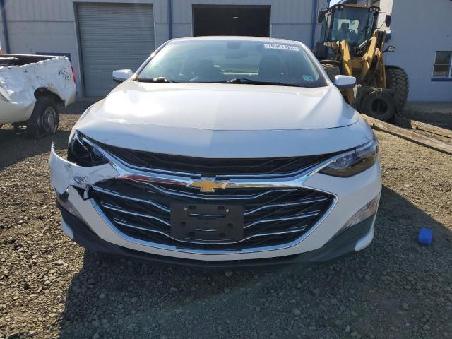 2019 CHEVROLET MALIBU LT - 1G1ZD5ST5KF141915