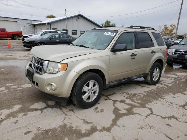 2010 Ford Escape XLT