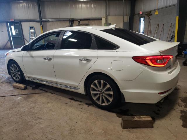 5NPE34AF7GH303801 | 2016 Hyundai sonata sport