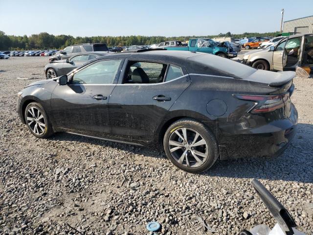 1N4AA6EV6PC504060 | 2023 NISSAN MAXIMA SR