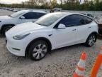 2023 TESLA MODEL Y - 7SAYGDEE2PA124860