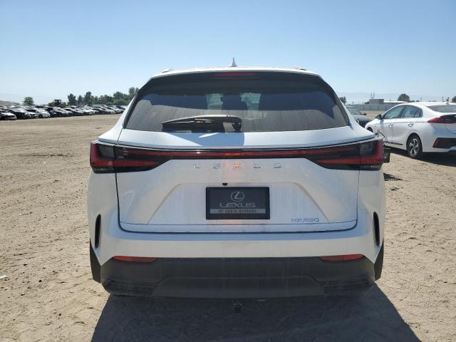 2024 LEXUS NX 250 BAS JTJADCAZ6R5013811