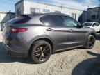 ZASPAJAN7L7C76982 2020 ALFA ROMEO STELVIO photo no. 3