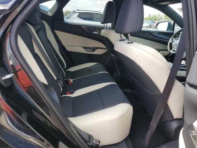 2024 LEXUS NX 250 BAS 2T2ADCAZ1RC009859