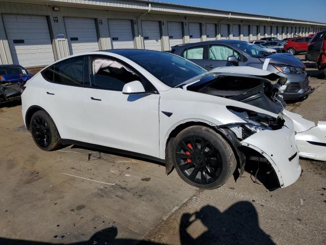 5YJYGDEE6MF080440 | 2021 TESLA MODEL Y