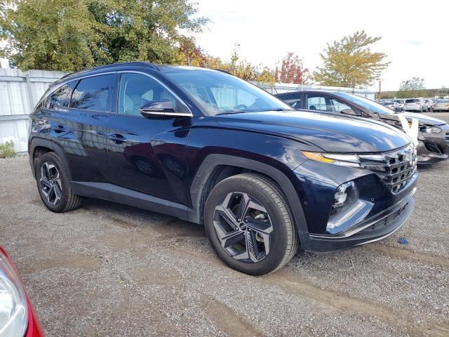 2022 HYUNDAI TUCSON LUX - KM8JDDA29NU061875