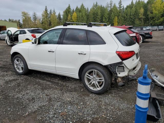 VIN WA1LFAFPXDA012172 2013 Audi Q5, Premium Plus no.2