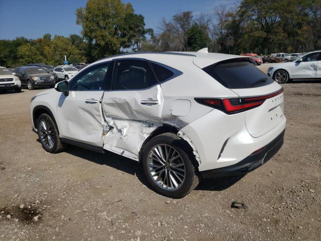 JTJGGCEZ2N5002083 Lexus NX 350  2