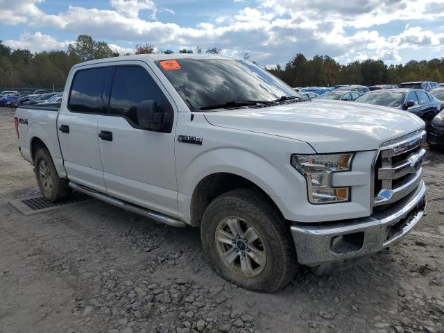 1FTEW1E84GFA15245 Ford F150 Supercrew
