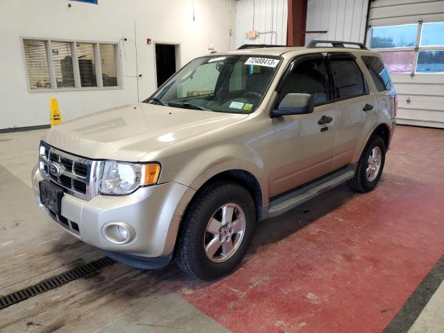 2010 Ford Escape XLT