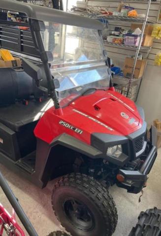 2019 ATV ALL MODELS LWGMDNL18KA000137