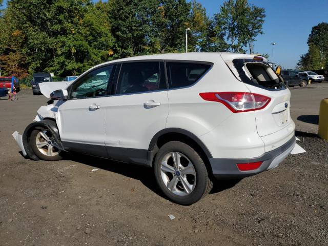 1FMCU9GX6EUB65510 | 2014 Ford escape se