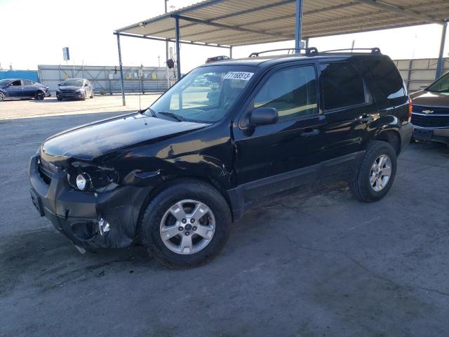 2006 Ford Escape XLT