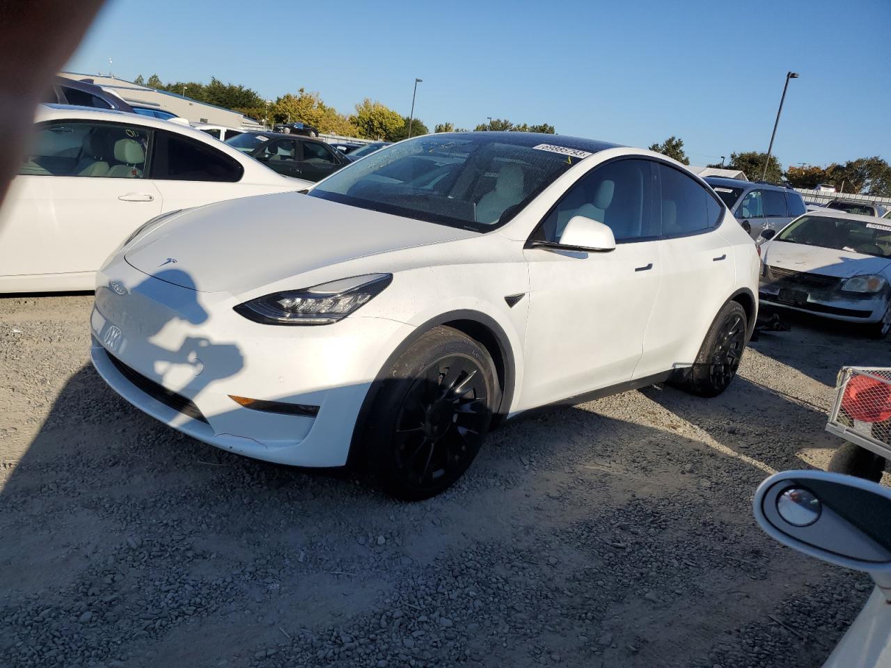 5YJYGDEE3LF056224 Tesla Model Y 