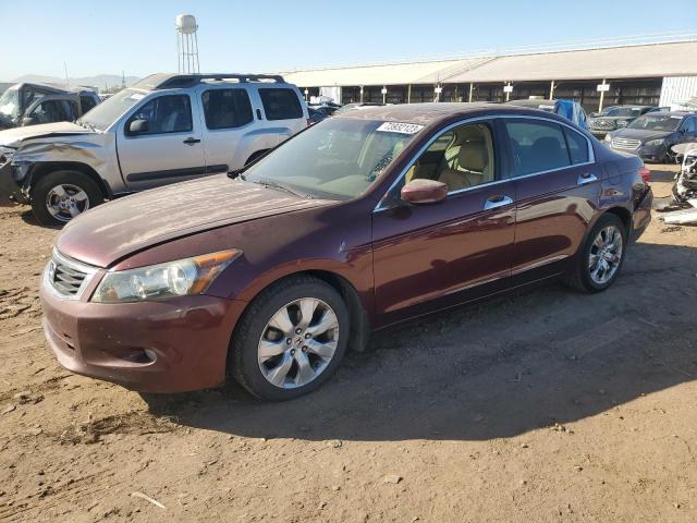 2009 Honda Accord Coupe EX-L