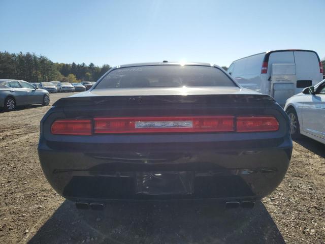 2C3CDYBT8DH578022 2013 Dodge Challenger R/T