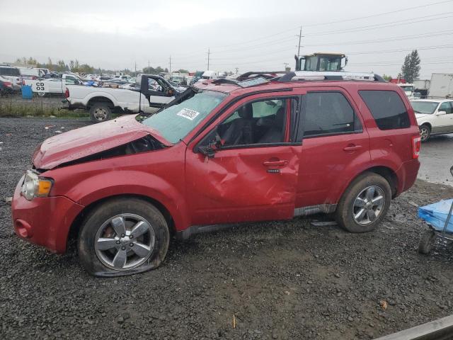 2010 Ford Escape Limited