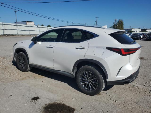 JTJADCEZ7N5000392 | 2022 LEXUS NX 250