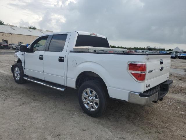 1FTFW1CF7EKE53011 | 2014 FORD F150 SUPER