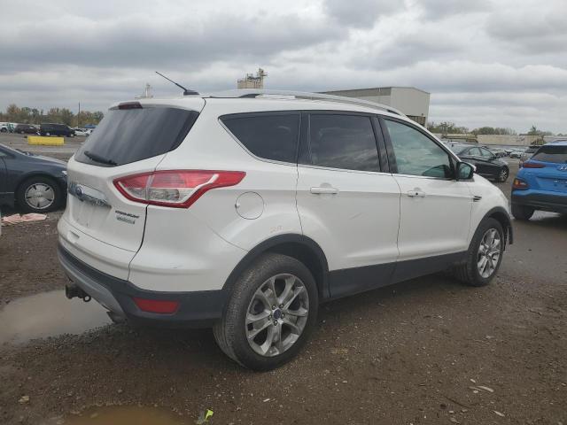 1FMCU0J96EUB63293 | 2014 FORD ESCAPE TIT