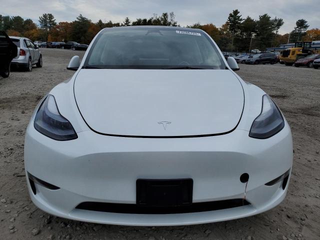 7SAYGDEE4PF837455 | 2023 TESLA MODEL Y