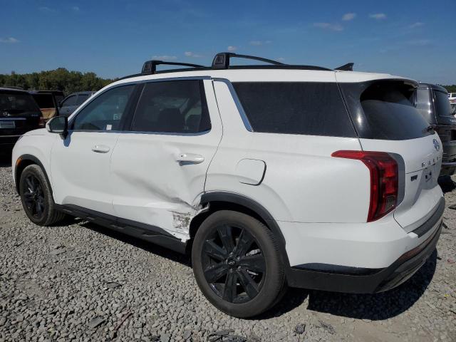 KM8R34GE5PU582487 | 2023 HYUNDAI PALISADE X