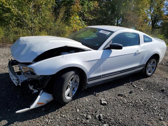 2010 Ford Mustang 