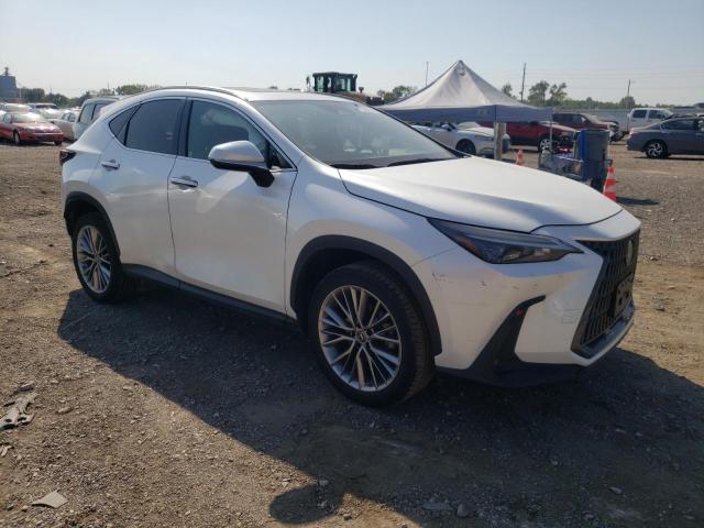 JTJGGCEZ2N5002083 Lexus NX 350  4