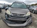 Lot #3025984946 2010 HONDA CR-V EX