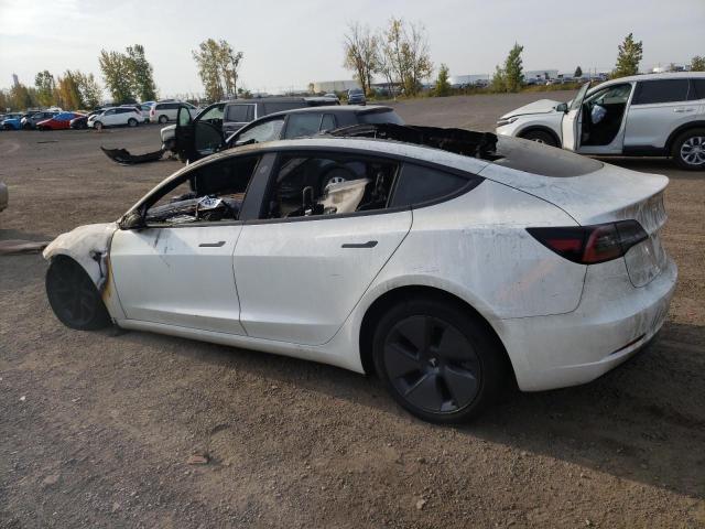 5YJ3E1EA5PF426915 | 2023 TESLA MODEL 3