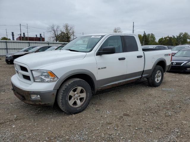 2010 Dodge Ram 1500 VIN: 1D7RV1GP3AS171631 Lot: 72066263