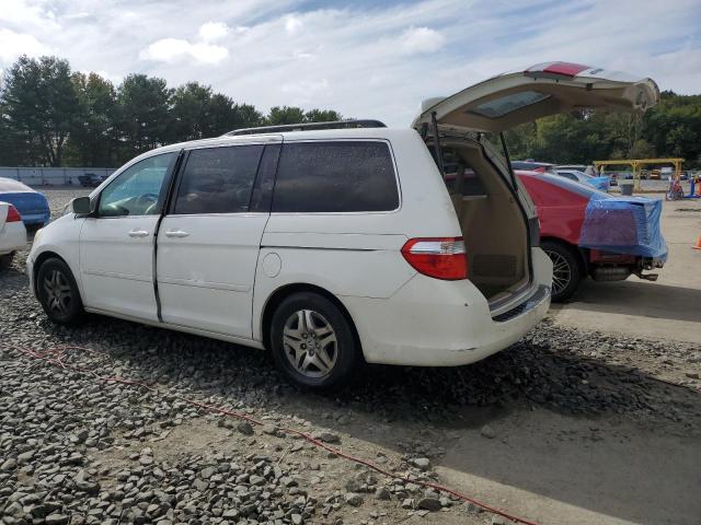 2007 Honda Odyssey Exl VIN: 5FNRL38717B430343 Lot: 70570773