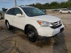 Lot #3006029776 2011 HONDA CR-V EXL