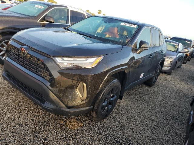 2024 TOYOTA RAV4 LE #3023917335