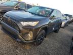 Lot #3023917335 2024 TOYOTA RAV4 LE