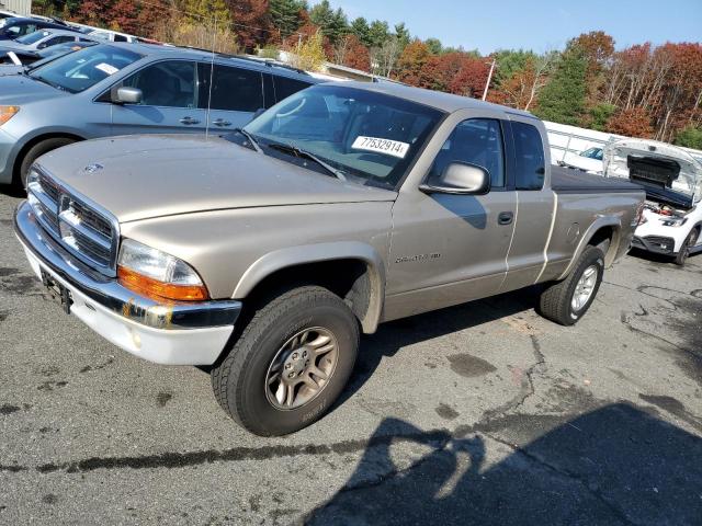 DODGE DAKOTA SLT 2002 gold  gas 1B7GG42N62S675417 photo #1