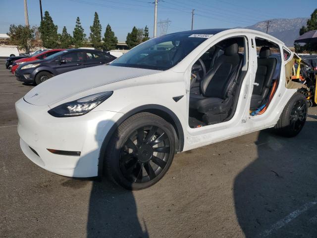 2021 TESLA MODEL Y #2974377477